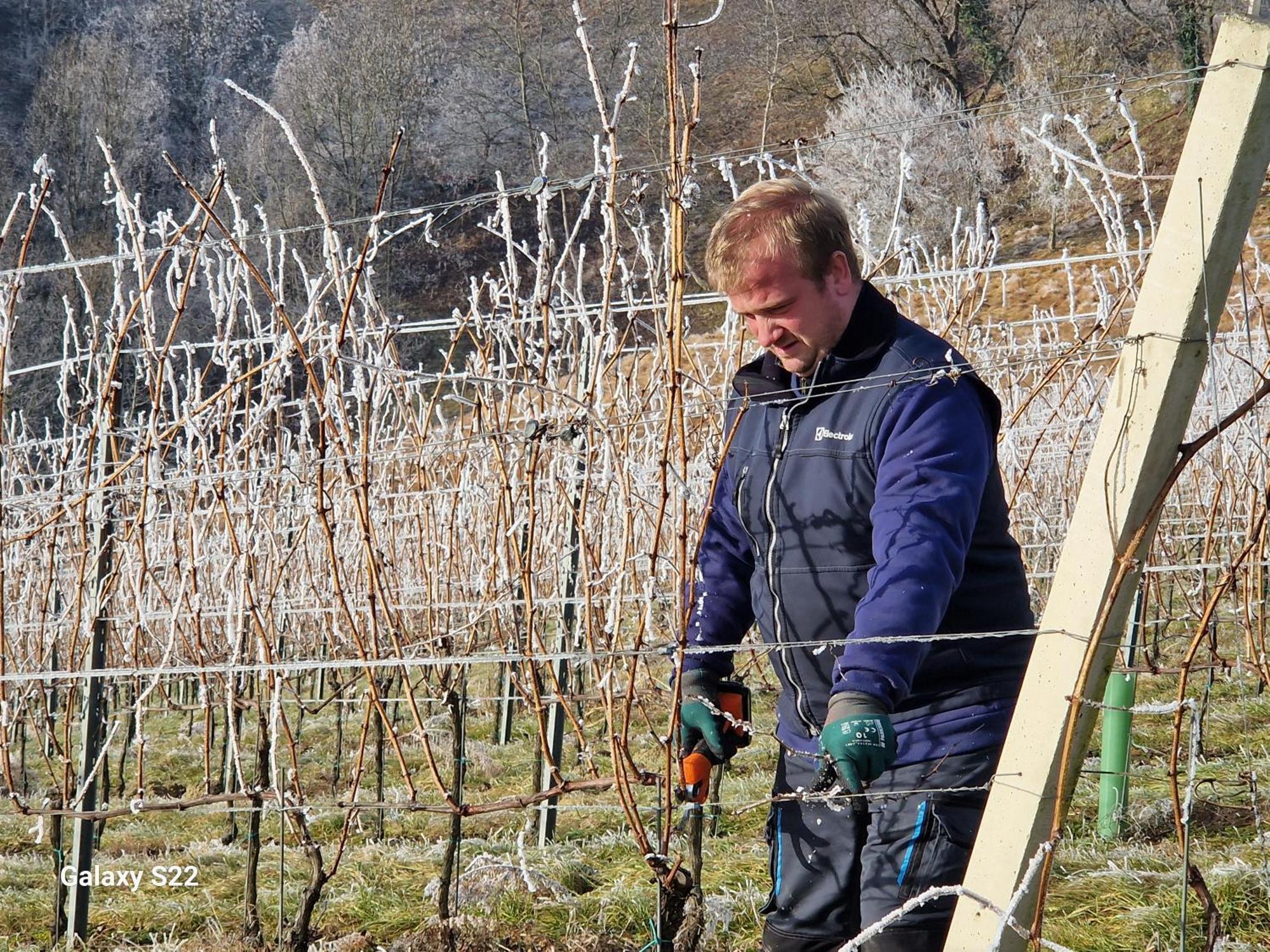 Agroturismo & Wine Lilek